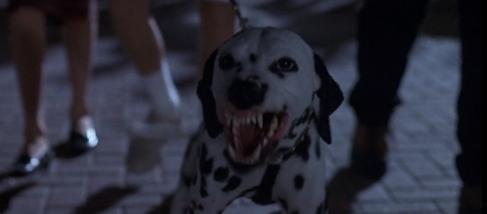 트루먼의 옆집 이웃과 개